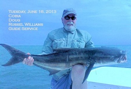 Fish on the Current: Summer is Here Russel Williams has earned the name "Cobia Killer" with catches like this brought in regularly.